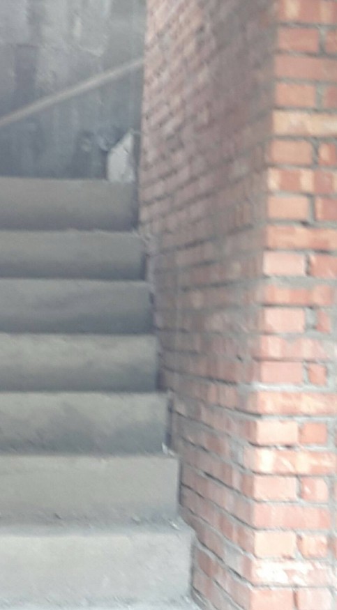 雲林斗六居家修繕, 雲林斗六舊屋改造, 雲林斗六土水師傅, 雲林斗六泥作工程, 雲林斗六衛浴廁所整修, 雲林斗六舊屋翻新, 雲林斗六套房裝修, 雲林斗六房屋結構補強居家修繕, 雲林斗六房屋裝修, 雲林斗六舊屋翻新, 雲林斗六房子結構補強