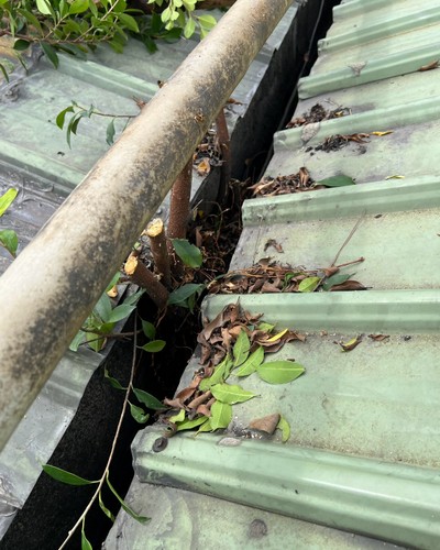 彰化屋頂防水工程, 彰化漏水查修, 彰化鐵皮修補工程, 彰化鐵皮屋補縫防水, 彰化鐵皮屋防水, 彰化鐵皮屋修繕, 彰化鐵皮屋頂修繕, 彰化鐵皮屋漏水, 彰化鐵皮屋縫隙填補, 
                    彰化屋頂補矽力康, 彰化外牆防水, 彰化更換鐵皮屋頂, 彰化防水工程, 彰化房屋翻修整建, 彰化中古屋翻修, 彰化房屋修繕, 彰化居家修繕, 彰化屋頂防水, 彰化外牆防水, 彰化房屋漏水