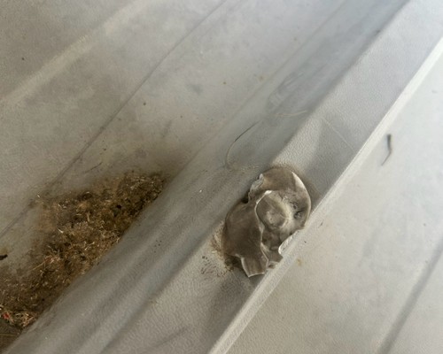 彰化太陽能板鏽蝕矽利康修補, 彰化屋頂防水工程, 彰化漏水查修, 彰化鐵皮修補工程, 彰化鐵皮屋補縫防水, 彰化鐵皮屋防水, 彰化鐵皮屋修繕, 彰化鐵皮屋頂修繕, 彰化鐵皮屋漏水, 彰化鐵皮屋縫隙填補, 
                    彰化屋頂補矽力康, 彰化外牆防水, 彰化更換鐵皮屋頂, 彰化防水工程, 彰化房屋翻修整建, 彰化中古屋翻修, 彰化房屋修繕, 彰化居家修繕, 彰化屋頂防水, 彰化外牆防水, 彰化房屋漏水